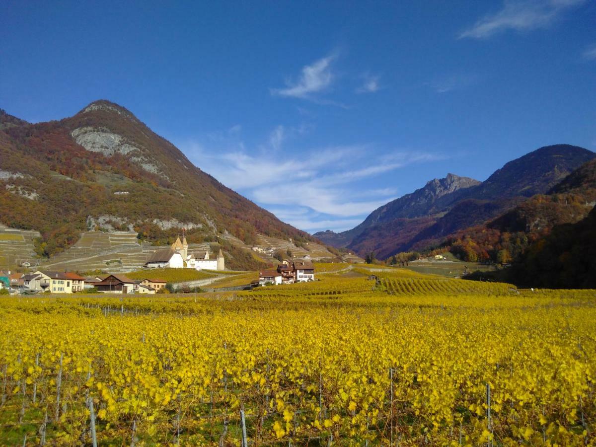 Hotel Element-Terre Aigle Exteriér fotografie